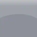 外觀顏色選項：Swatch Solar Silver Metallic色調