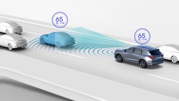 主動式定速巡航系統（ACC）附帶低速跟隨的AcuraWatch影像